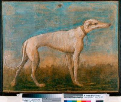 Windhund von Giovanni Battista Tiepolo